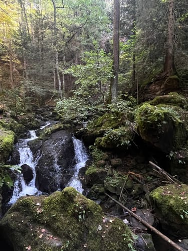 Hinterzarten und Ravennaschlucht