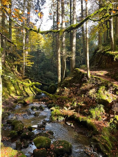 Hinterzarten und Ravennaschlucht