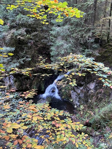 Hinterzarten und Ravennaschlucht