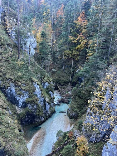 Von Mittenwald durch die Leutaschklamm