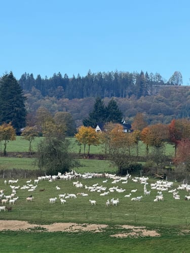 Winterberg - Kreuzberg - Orketal - Helletal