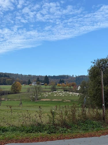 Winterberg - Kreuzberg - Orketal - Helletal