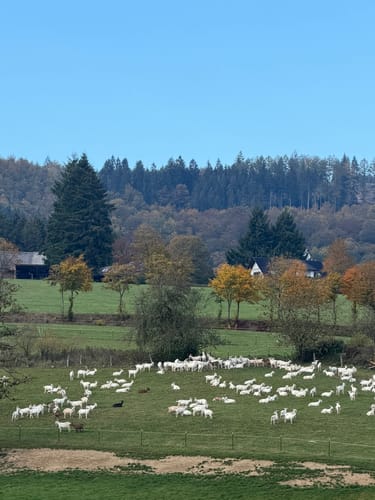 Winterberg - Kreuzberg - Orketal - Helletal