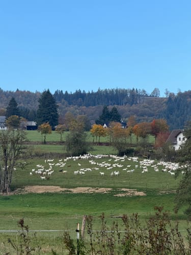 Winterberg - Kreuzberg - Orketal - Helletal