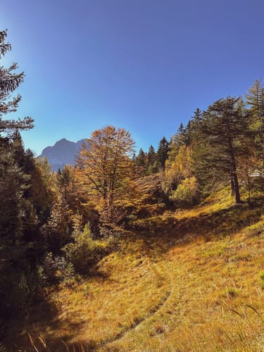 Mittenwald-Lautersee-Ferchensee-Hoher Kranzberg-Sessellift-Mittenwald