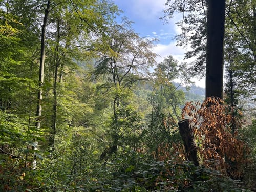 Um Schlossberg und zum St. Ottilien