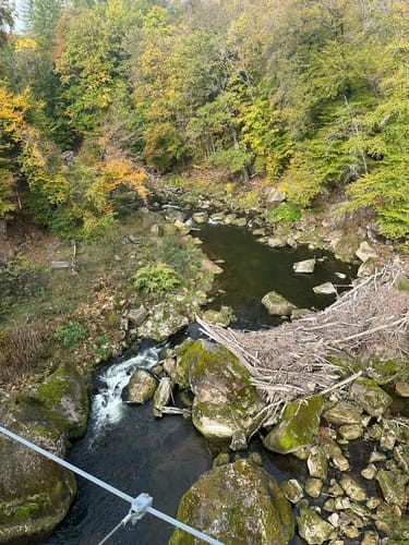 Teufelsschlucht und Keltenhöhle Rundweg
