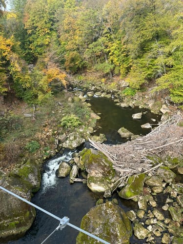 Teufelsschlucht und Keltenhöhle Rundweg