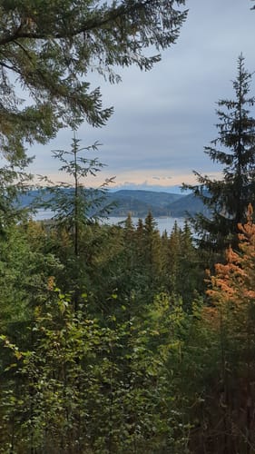 Schluchseer Jägersteig (Genießerpfad)