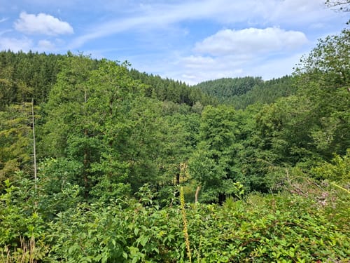 Burg Grimburg und Wadrilltal