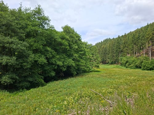 Burg Grimburg und Wadrilltal