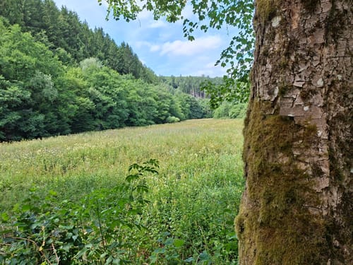 Burg Grimburg und Wadrilltal