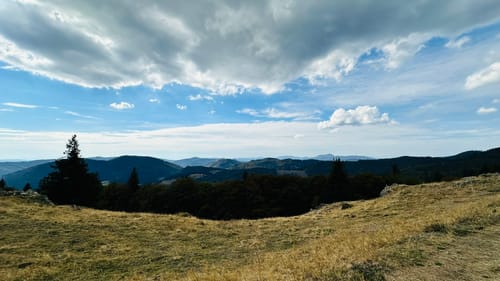 Bernau im Schwarzwald - Krunkelbach-Hütte