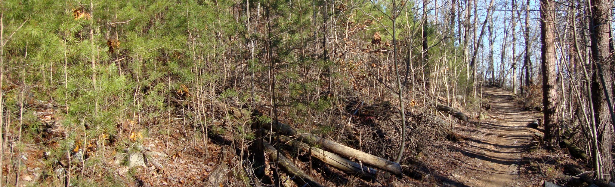 Dogwood and White Oak Ridge Loop 232 Reviews, Map Tennessee AllTrails