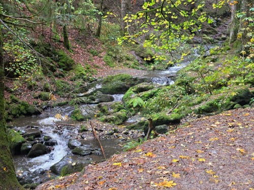 Der Ravennaschlucht Weg
