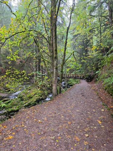 Der Ravennaschlucht Weg