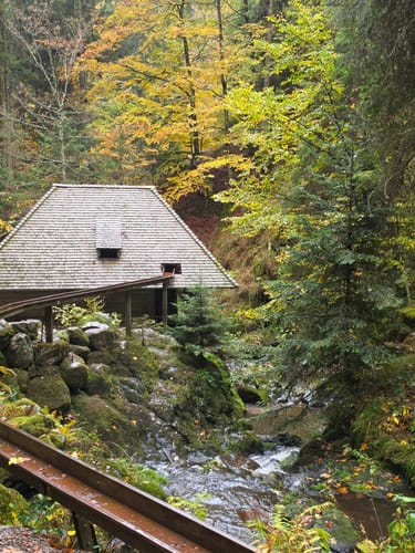 Der Ravennaschlucht Weg
