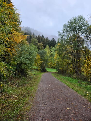 Der Ravennaschlucht Weg