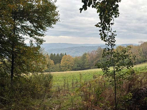 Heckenlandroute