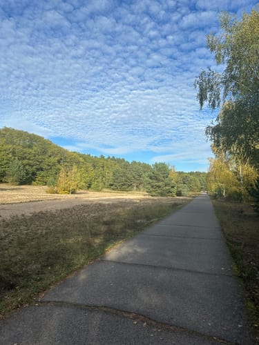 Waldsee, Lübars und Köppchensee