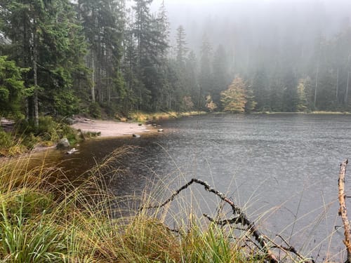 Von Ruhestein zum Wildsee
