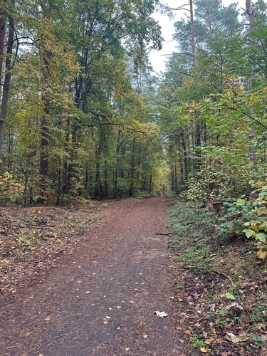 Zum Ehrenpfortenberg im Tegeler Forst
