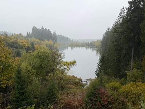 Liebesbankweg (Premiumwanderweg)
