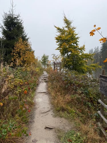 Liebesbankweg (Premiumwanderweg)