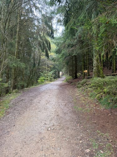 Liebesbankweg (Premiumwanderweg)