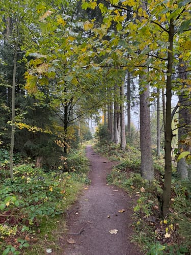 Liebesbankweg (Premiumwanderweg)
