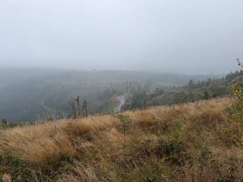 Liebesbankweg (Premiumwanderweg)