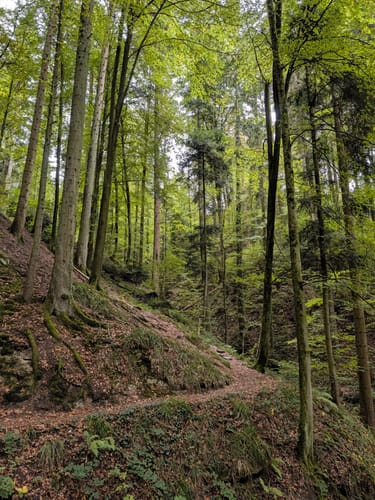 Murrhardt und Hörschbachwasserfälle Rundweg