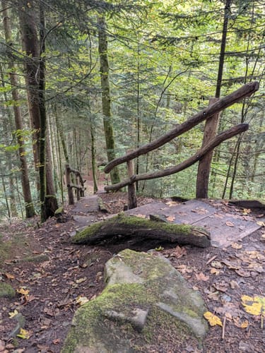 Murrhardt und Hörschbachwasserfälle Rundweg