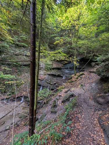 Murrhardt und Hörschbachwasserfälle Rundweg