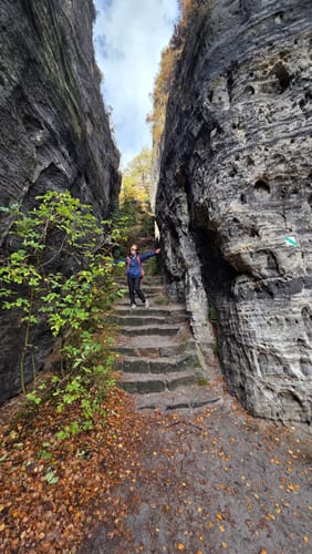 Tiské stěny