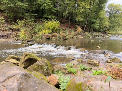 Teufelsschlucht und Keltenhöhle Rundweg