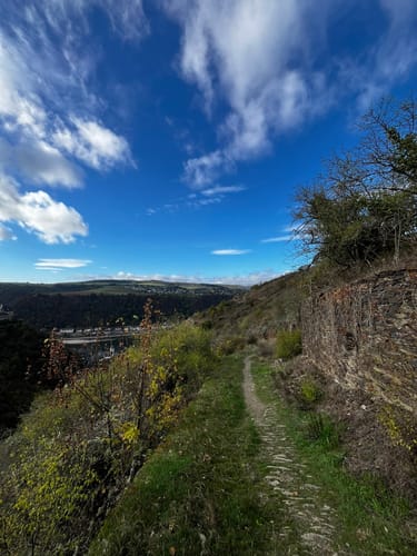 Loreley-Extratour (Premiumwanderweg)