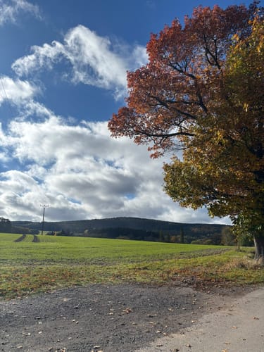 Schwarzenberg im Erzgebirge - Heide