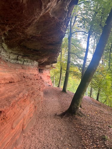 Les Falaises Rouges d'Altschlossfelsen