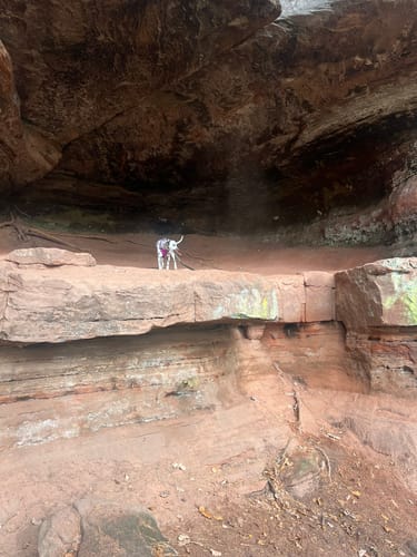 Les Falaises Rouges d'Altschlossfelsen