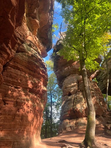 Les Falaises Rouges d'Altschlossfelsen