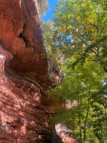 Les Falaises Rouges d'Altschlossfelsen