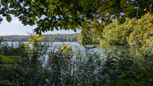 Lütauer See - Schmalsee Rundwanderung