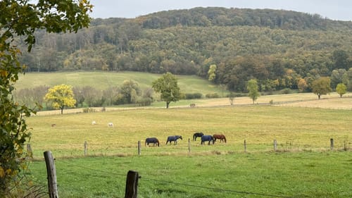 Durch das Reitlingstal