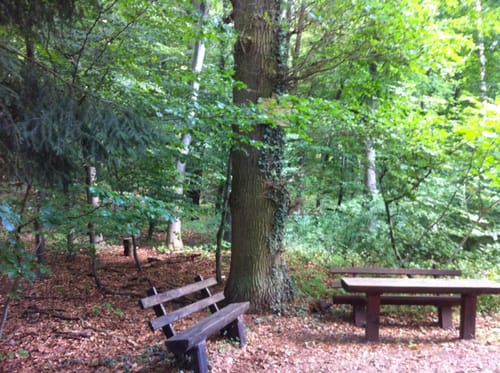 Rundwanderweg 4:Lindenberg - Weg