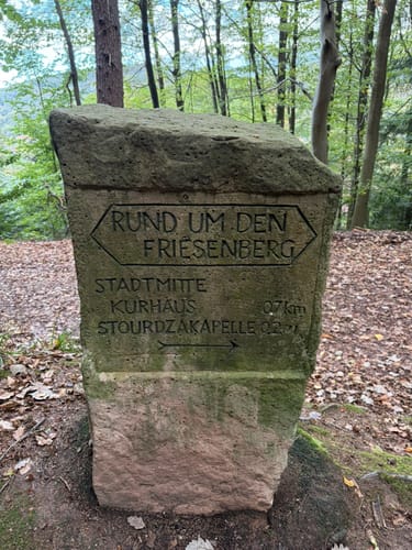 Wald & Rosen-Rundweg