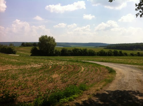 Aus Stetten in den Buchtalwald