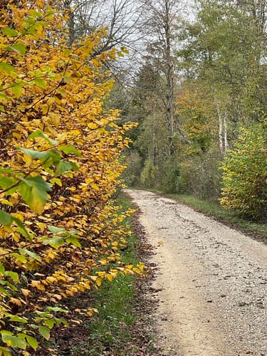 Isar Erlebnispfad Natur