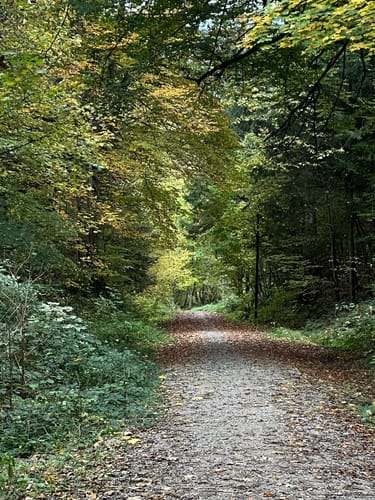 Isar Erlebnispfad Natur