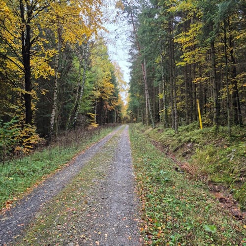 Zum Arnsberg und Kreuzberg